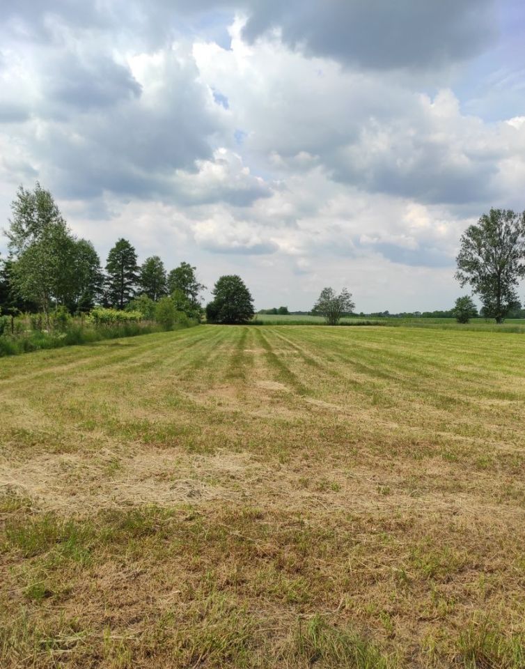 Działka rolno-budowlana Besiekierz Nawojowy. Zdjęcie 4