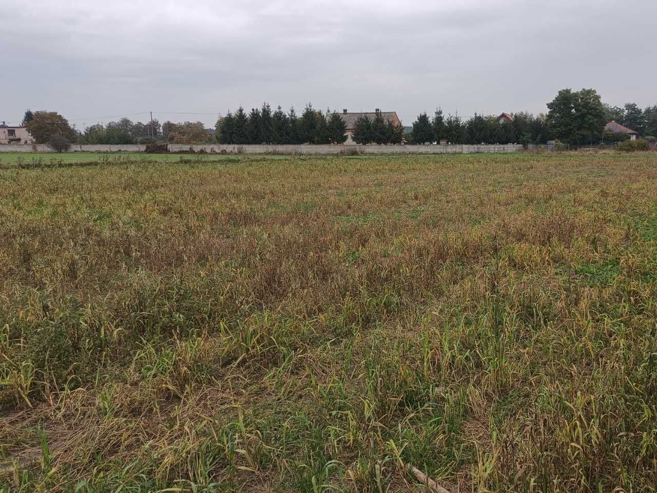 Działka budowlana Piotrowice. Zdjęcie 7