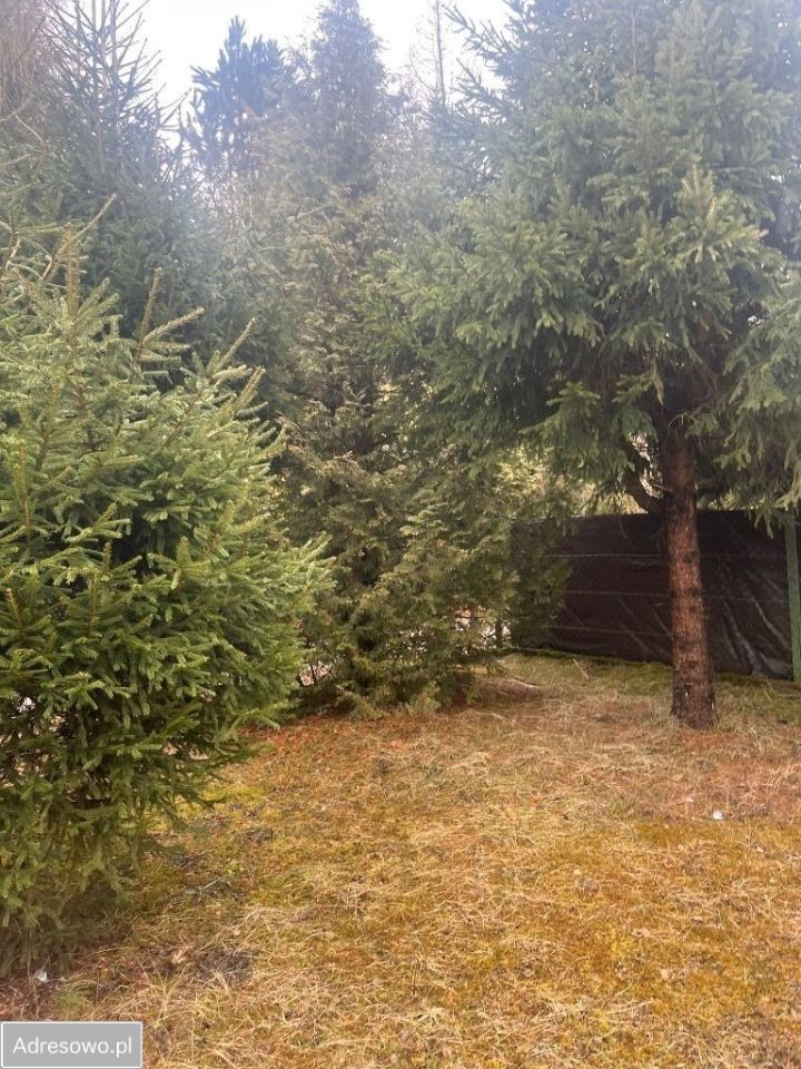 dom wolnostojący, 5 pokoi Marzysz. Zdjęcie 3