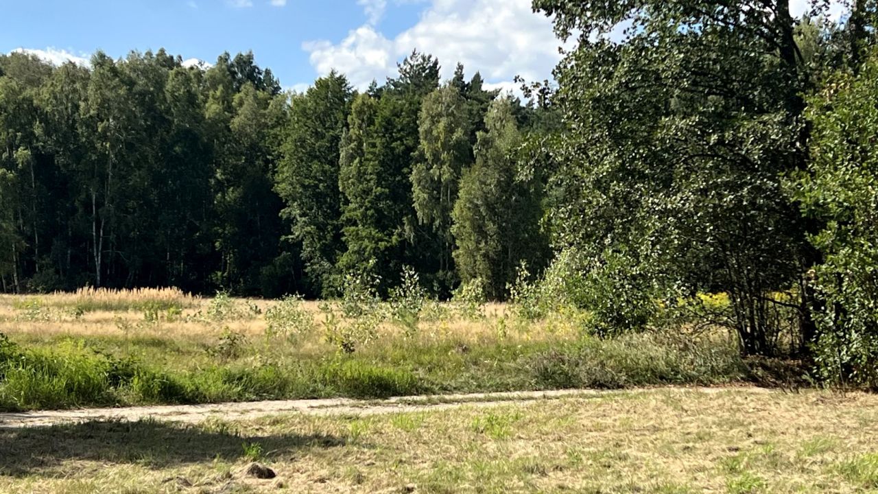 Działka rekreacyjna Mirowice, ul. Sarenki. Zdjęcie 12