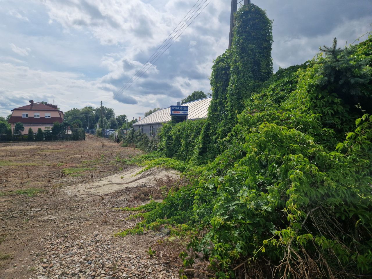 Działka inwestycyjna Radwanice, ul. Wrocławska. Zdjęcie 4