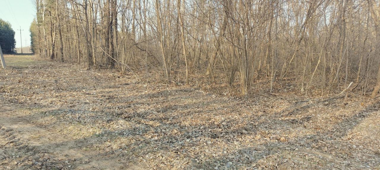 Działka rolno-budowlana Wylewa. Zdjęcie 2