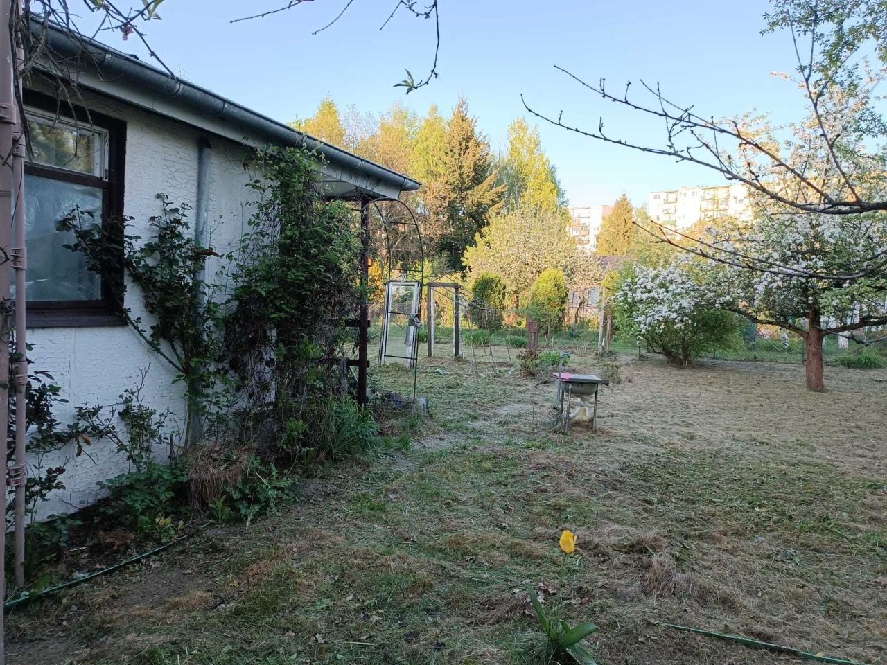 Działka rod Łódź Teofilów, ul. Krzysztofa Kamila Baczyńskiego