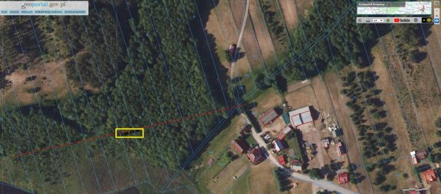 Działka leśna Zelwa Kiecie. Zdjęcie 1