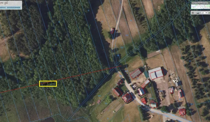 Działka leśna Zelwa Kiecie