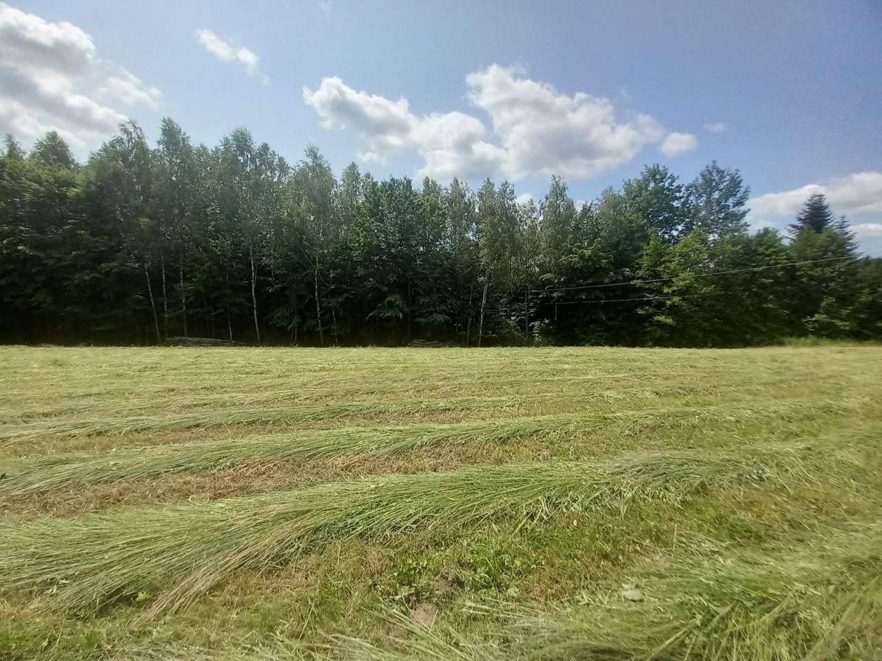 Działka budowlana Lecka. Zdjęcie 4