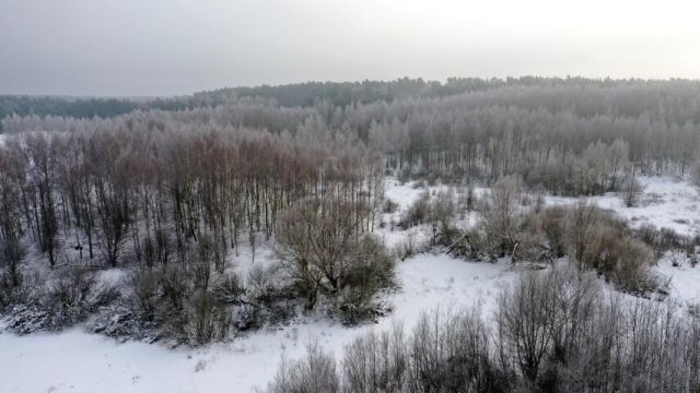 Działka budowlana Harsz. Zdjęcie 8