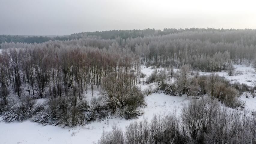Działka budowlana Harsz. Zdjęcie 8