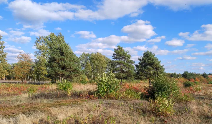 Działka budowlana Krzaki Czaplinkowskie, ul. Wrzosowa