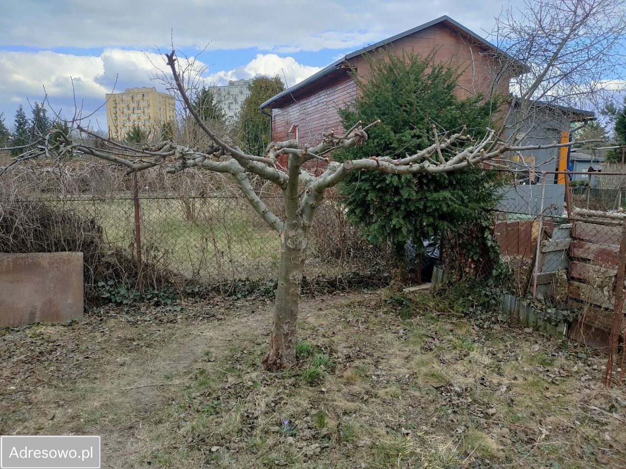 Działka rod Warszawa Praga-Południe, ul. Kinowa. Zdjęcie 6