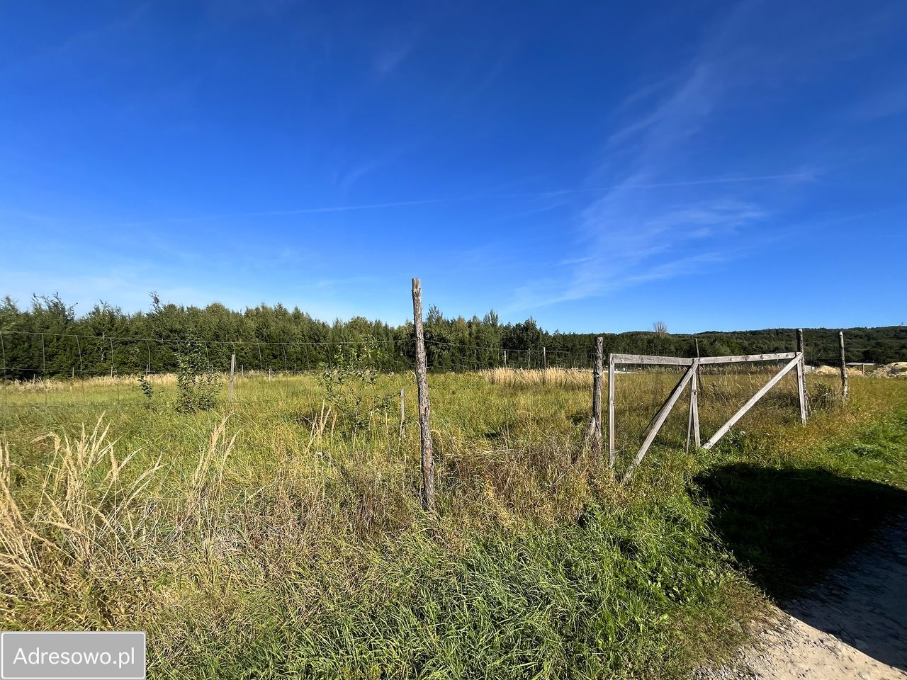 Działka rolno-budowlana Olchowa. Zdjęcie 5