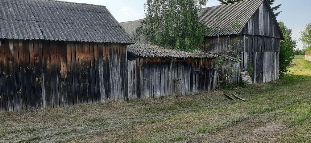 Działka rolno-budowlana Ratoszyn Pierwszy. Zdjęcie 3
