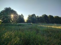 Działka rolno-budowlana Nowe Drygały. Zdjęcie 4