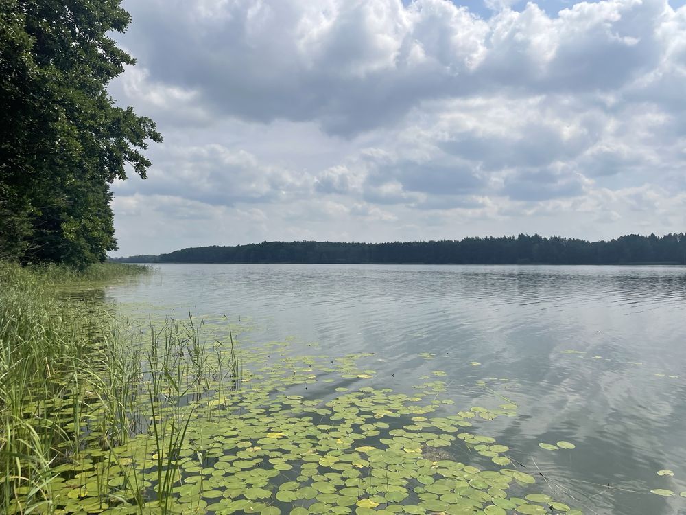 Działka budowlana Chrzanowo, ul. Modrzewiowa. Zdjęcie 7