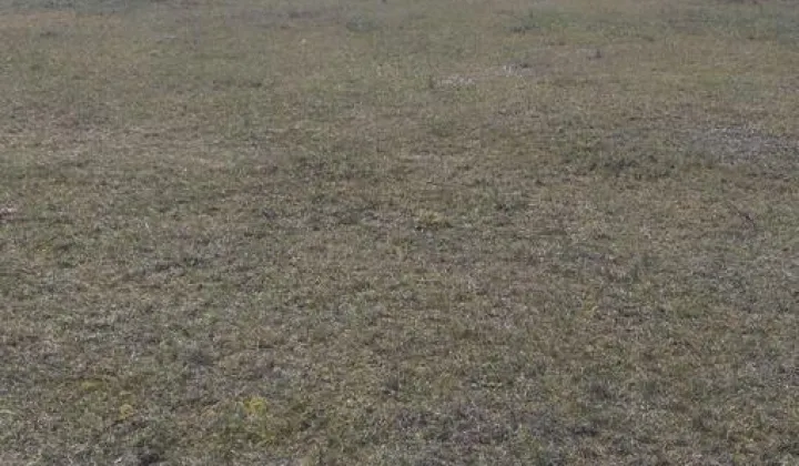 Działka rolno-budowlana Augustów