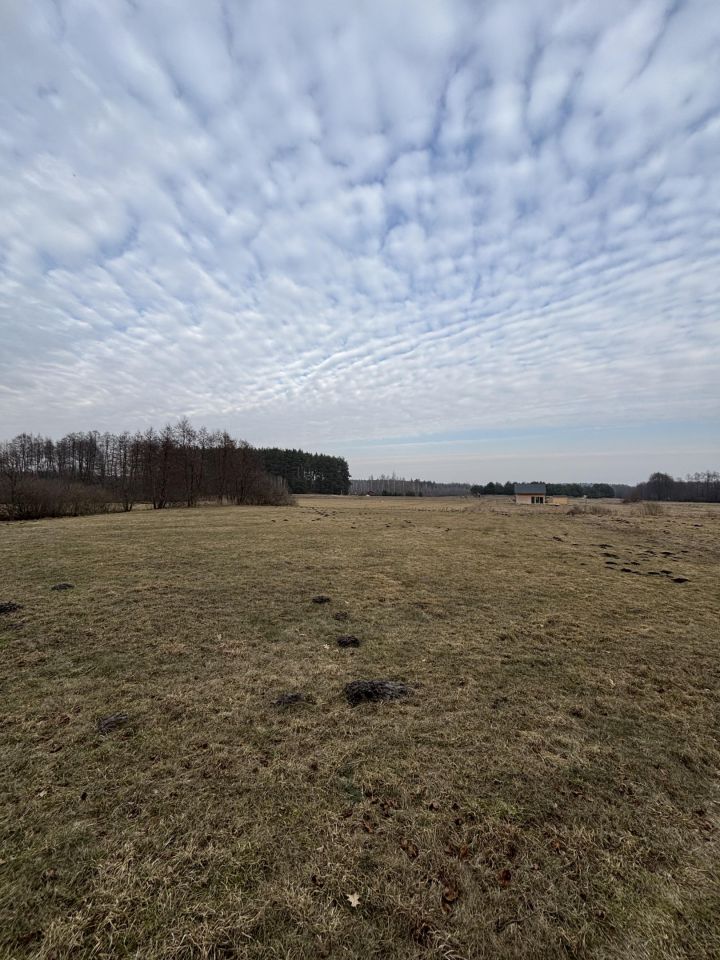 Działka budowlana Grądy. Zdjęcie 3