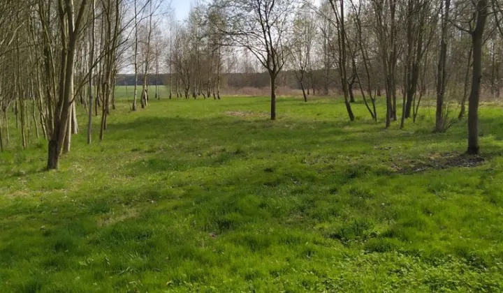 Działka budowlana Myszków Mrzygłódka, ul. Kwarcowa