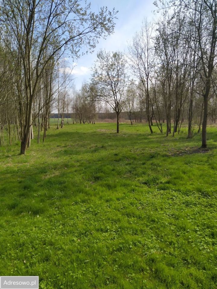Działka budowlana Myszków Mrzygłódka, ul. Kwarcowa
