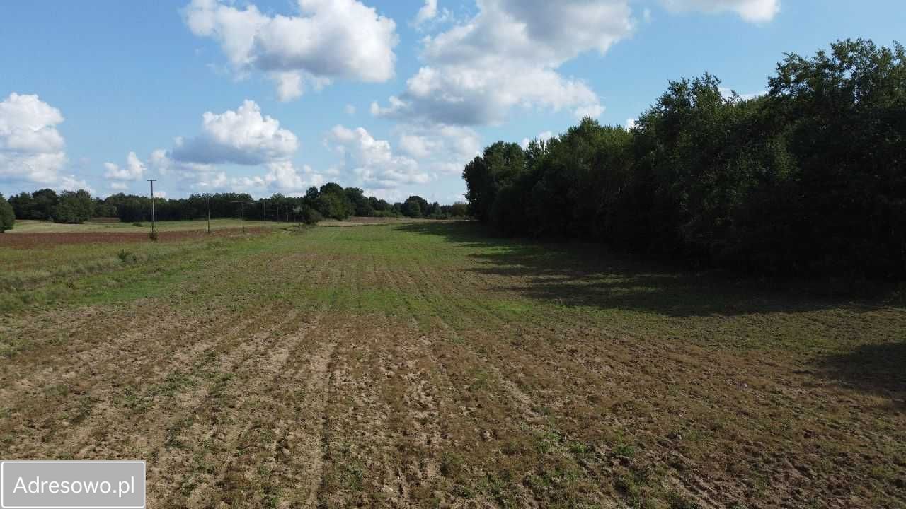 Działka rolna Śmilcz. Zdjęcie 4