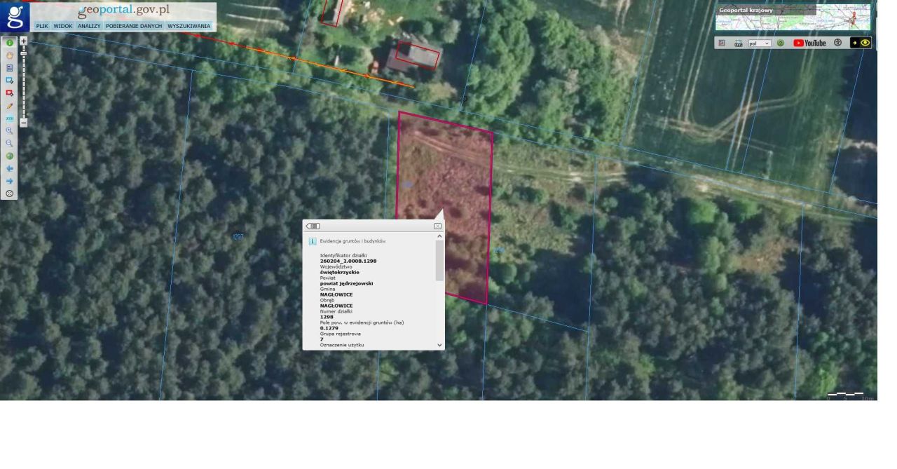 Działka leśna Nagłowice. Zdjęcie 2