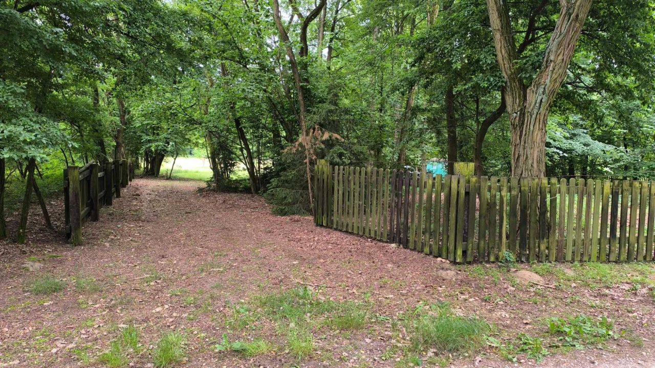 Działka rekreacyjna Józefów. Zdjęcie 6