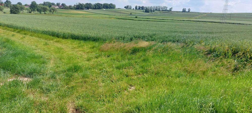 Działka rolna Kraków Nowa Huta, ul. Węgrzynowicka. Zdjęcie 2