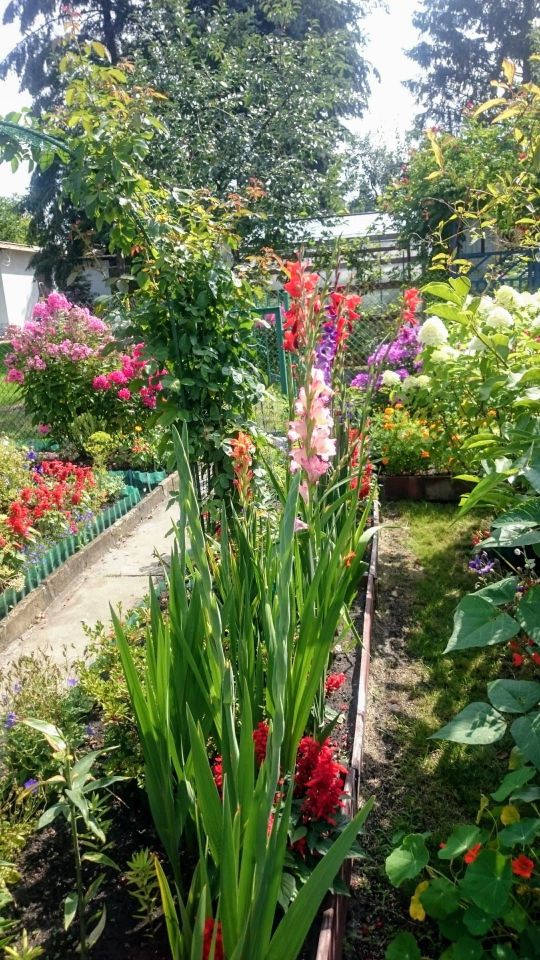 Działka rod Warszawa Paluch. Zdjęcie 3