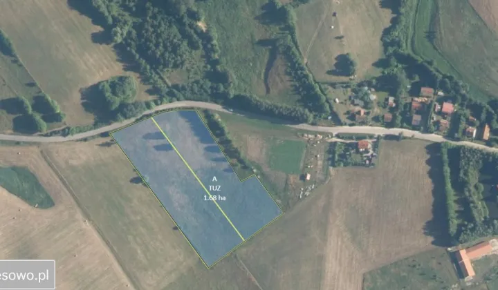 Działka rolno-budowlana Zerbuń