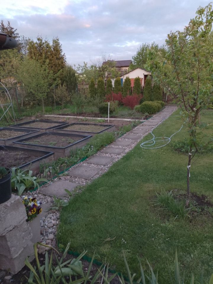 Działka rod Szczytno, ul. Robotnicza. Zdjęcie 5