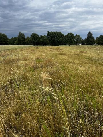 Działka budowlana Rosocha-Kolonia. Zdjęcie 1