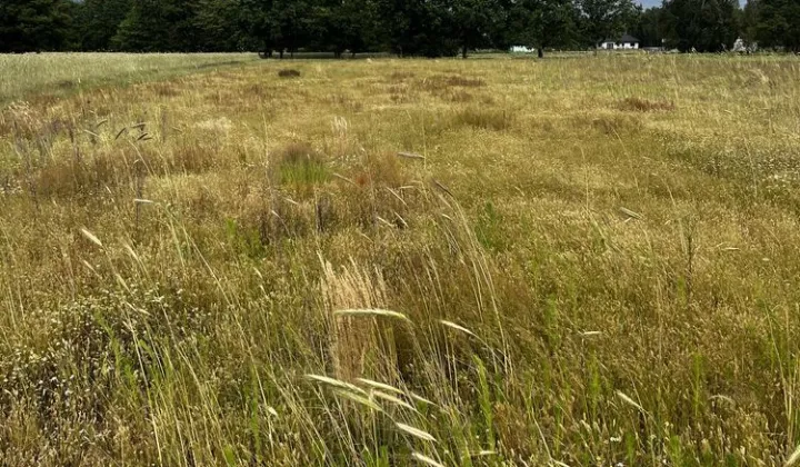 Działka budowlana Rosocha-Kolonia