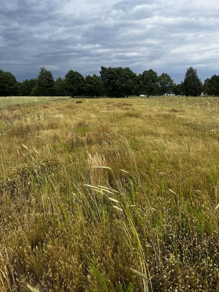 Działka budowlana Rosocha-Kolonia