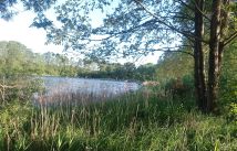 Działka siedliskowa Kosewo, ul. Lipnicka. Zdjęcie 3