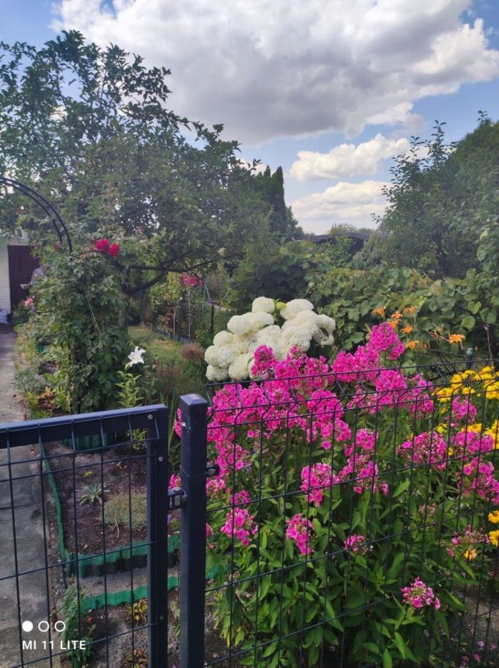 Działka rod Warszawa Paluch. Zdjęcie 6