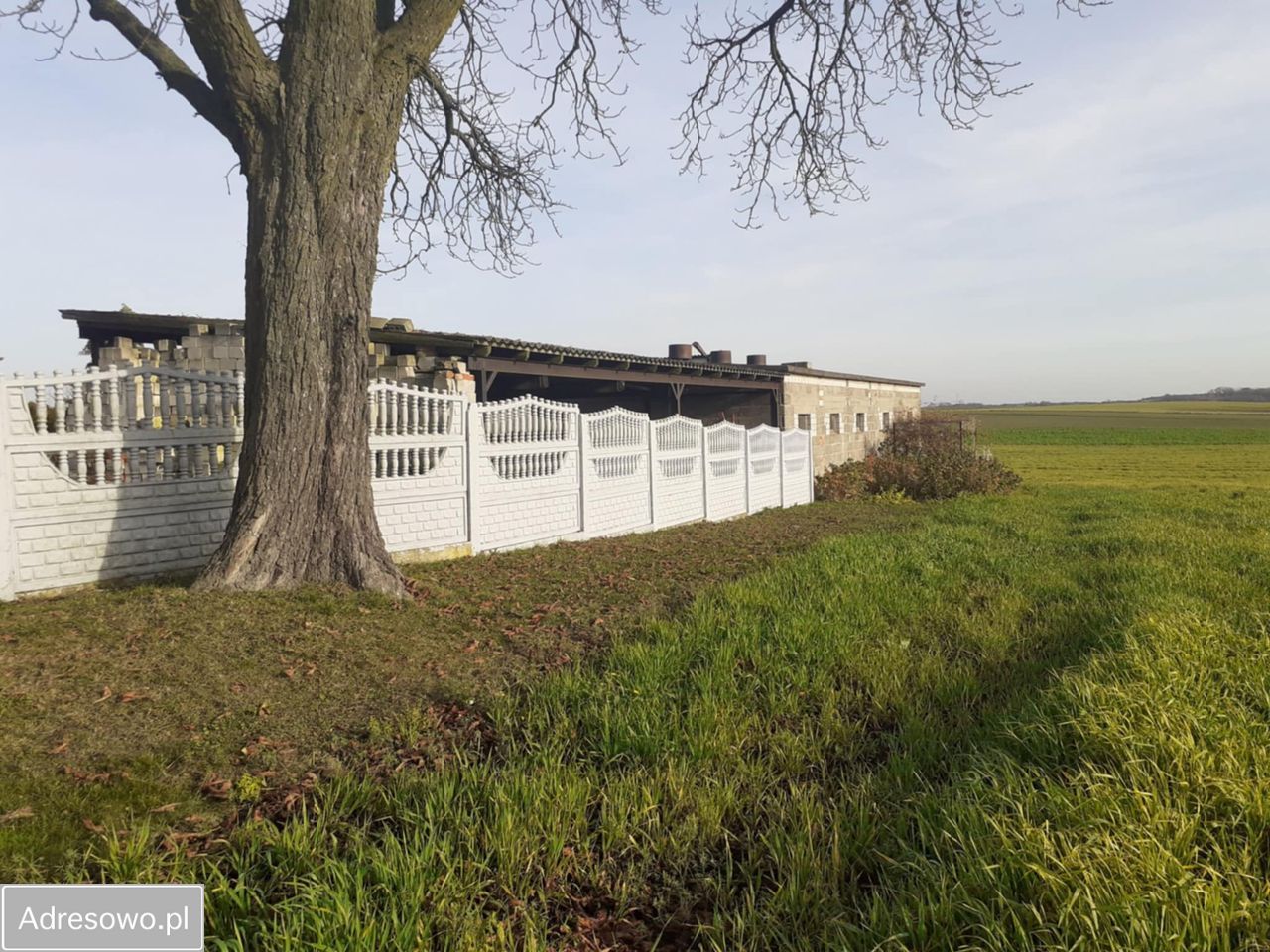 siedlisko Taszewskie Pole. Zdjęcie 3