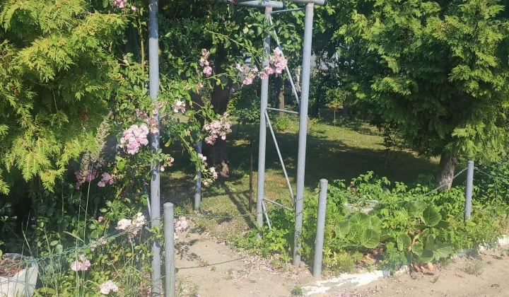 Działka rod Jarocin Annapol, ul. Żerkowska
