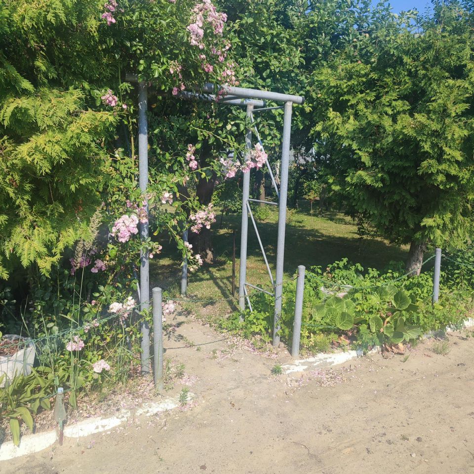 Działka rod Jarocin Annapol, ul. Żerkowska. Zdjęcie 1