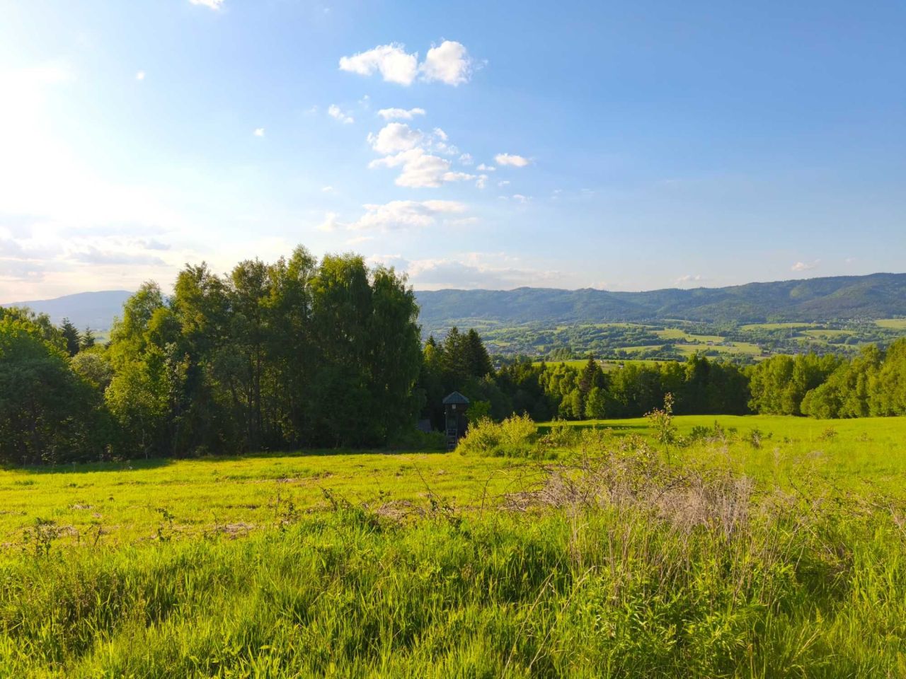 Działka rolna Gilowice