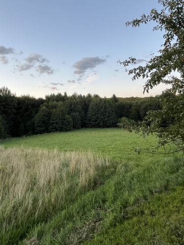 Działka budowlana Głobikowa. Zdjęcie 1