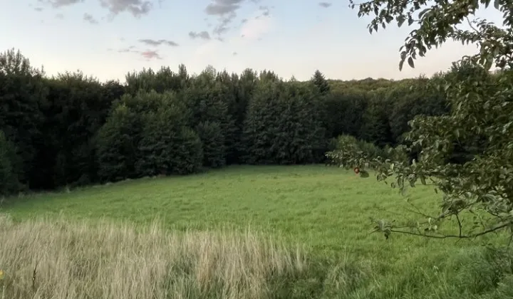 Działka budowlana Głobikowa