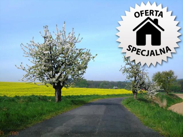 Działka rolno-budowlana Wrocław Świniary, ul. Zagaje. Zdjęcie 5