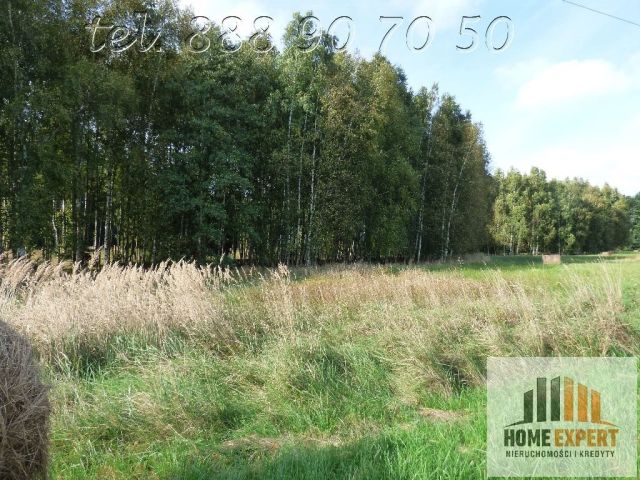 Działka Trójca. Zdjęcie 2