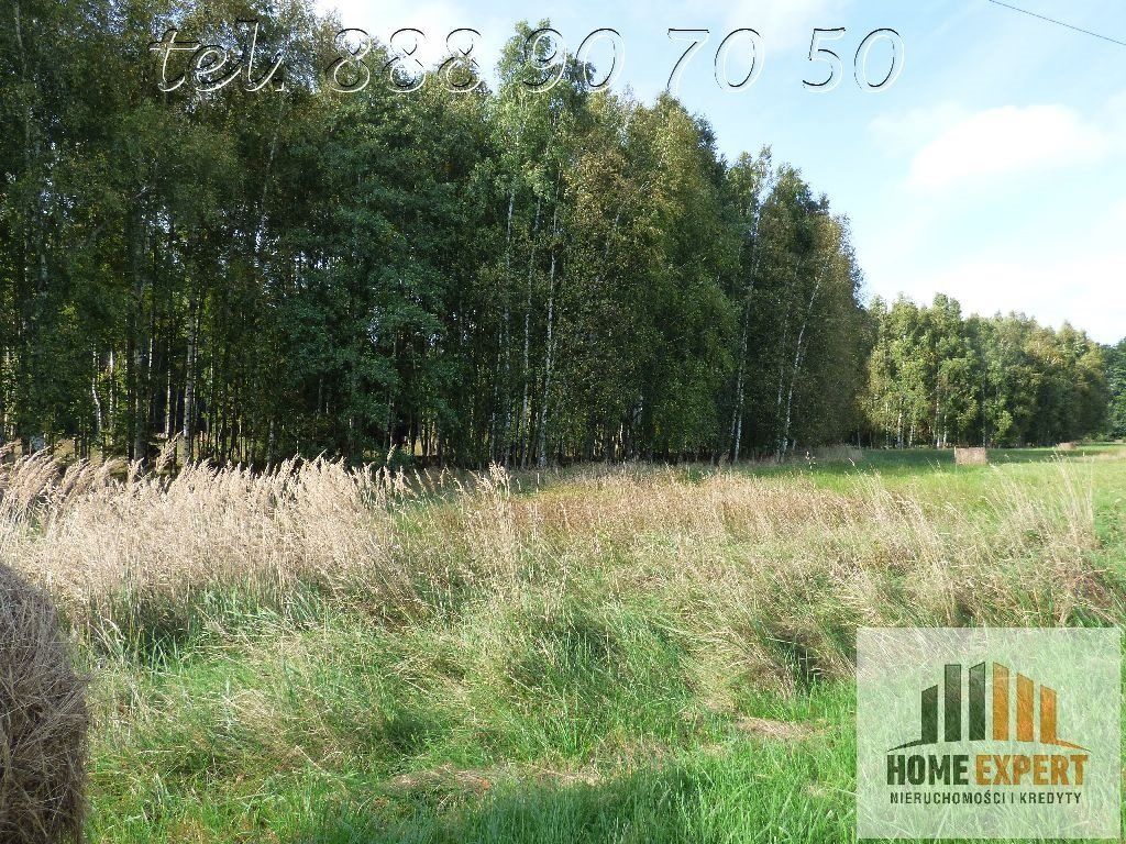 Działka Trójca. Zdjęcie 2