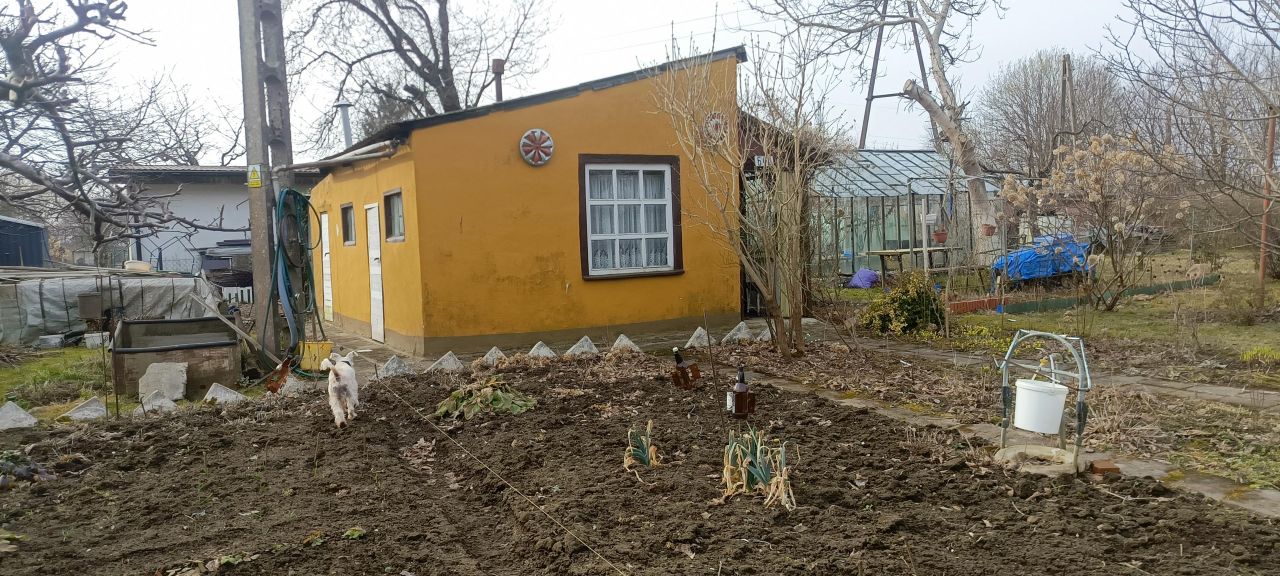 Działka rod Koszalin Lechitów, ul. Lechicka. Zdjęcie 6