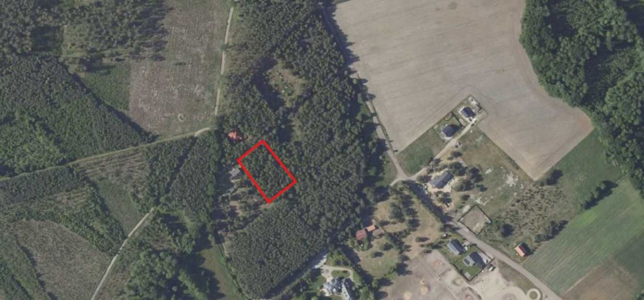 Działka budowlana Dziuplina. Zdjęcie 4