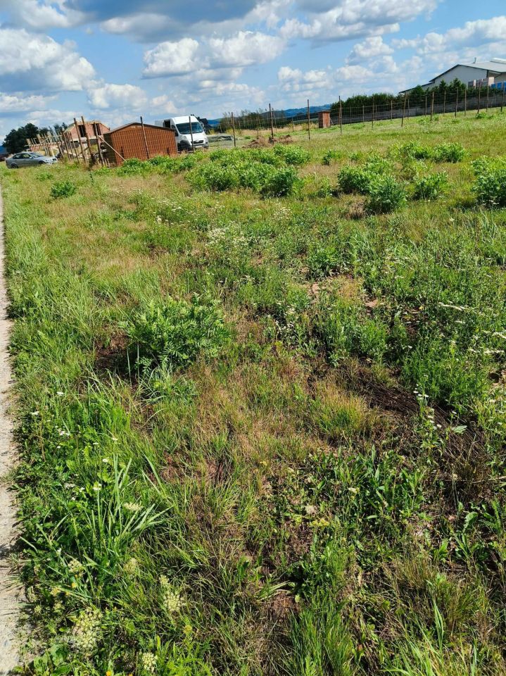 Działka budowlana Żyraków. Zdjęcie 2