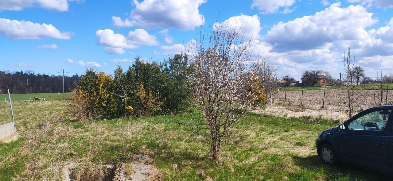 Działka rolno-budowlana Zgniłe Błoto Błoto C. Zdjęcie 7