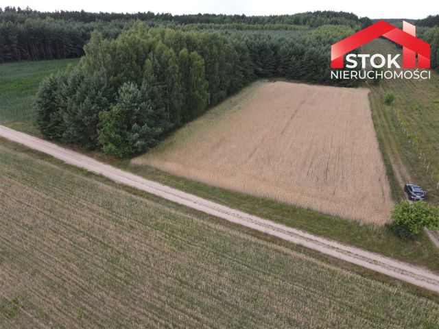 Działka rolna Podozierany. Zdjęcie 3