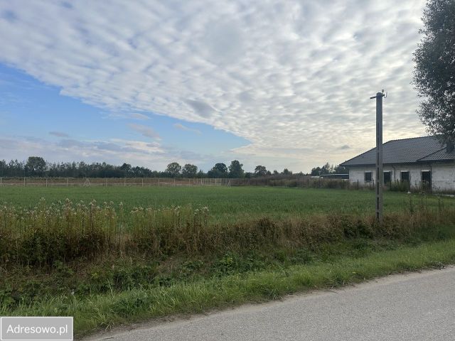 Działka budowlana Robercin, ul. Orzechowa. Zdjęcie 6