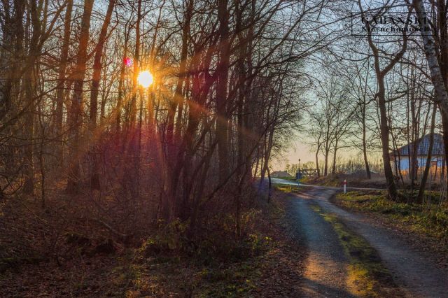 Działka budowlana Zaczarnie. Zdjęcie 15